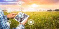 SMARTFARM