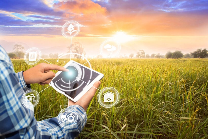 SMARTFARM
