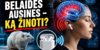 Belaidės ausinės, smegenų veikla ir galvos smegenų MRI vaizdas, susijęs su žiniomis apie ausinių poveikį.